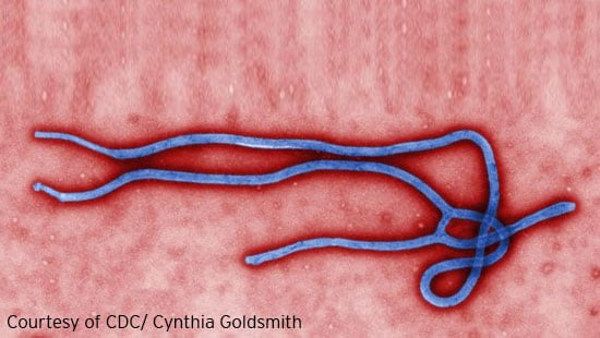 EbolaVirus