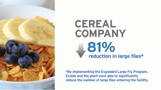 Large Fly Cereal Company Case Study Image