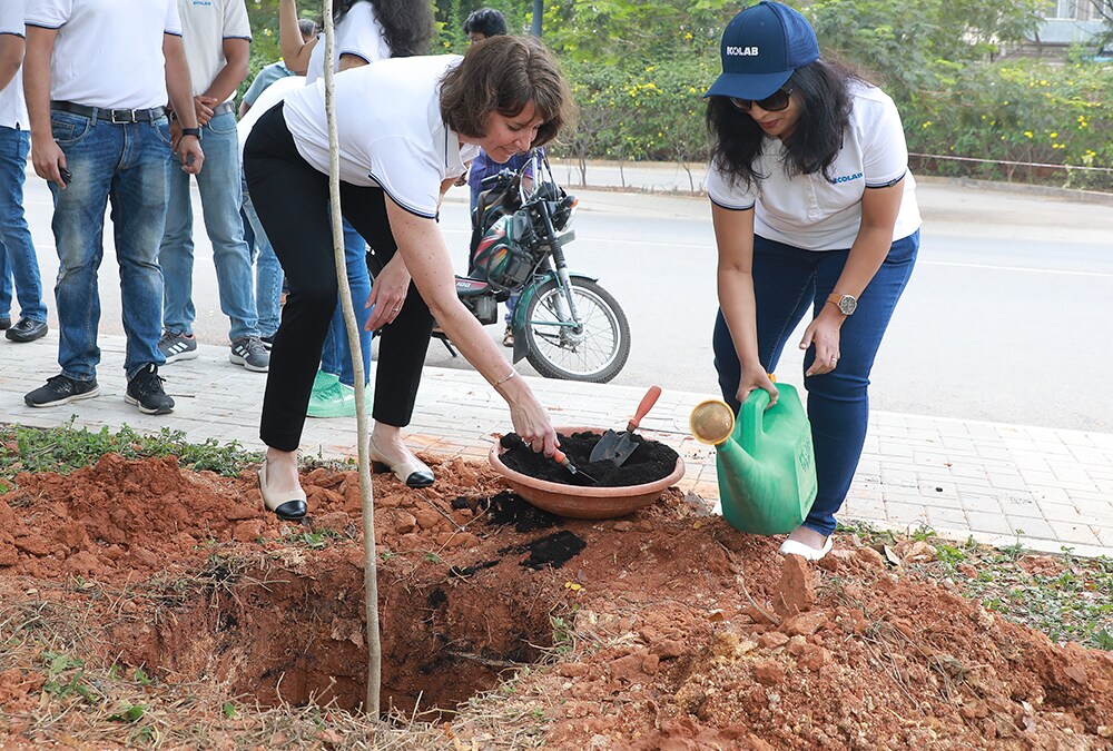 Ecolab employees planting a tree