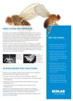 small fly fact sheet