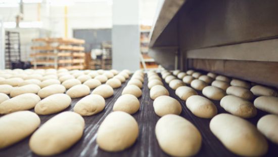 Bread dough on industrial bakery production line.