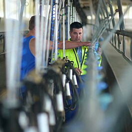 Dairy Farm: Ecolab ANZ: FUTURE-PROOFING THE DAIRY INDUSTRY THROUGH INNOVATION AND EXPERTISE