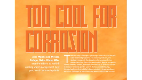 Overhead photograph of a poster titled too cool for corrosion in a world fertilizer report.